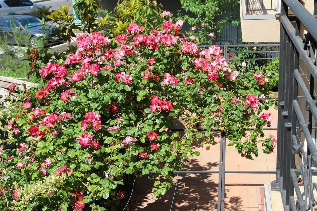 נסבר Flowers Apartments מראה חיצוני תמונה